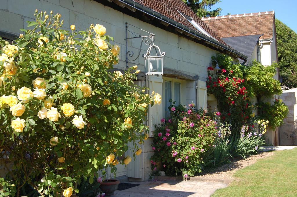 La Grange Dimiere, Pres De Tours Bed & Breakfast Saint-Genouph Exterior foto