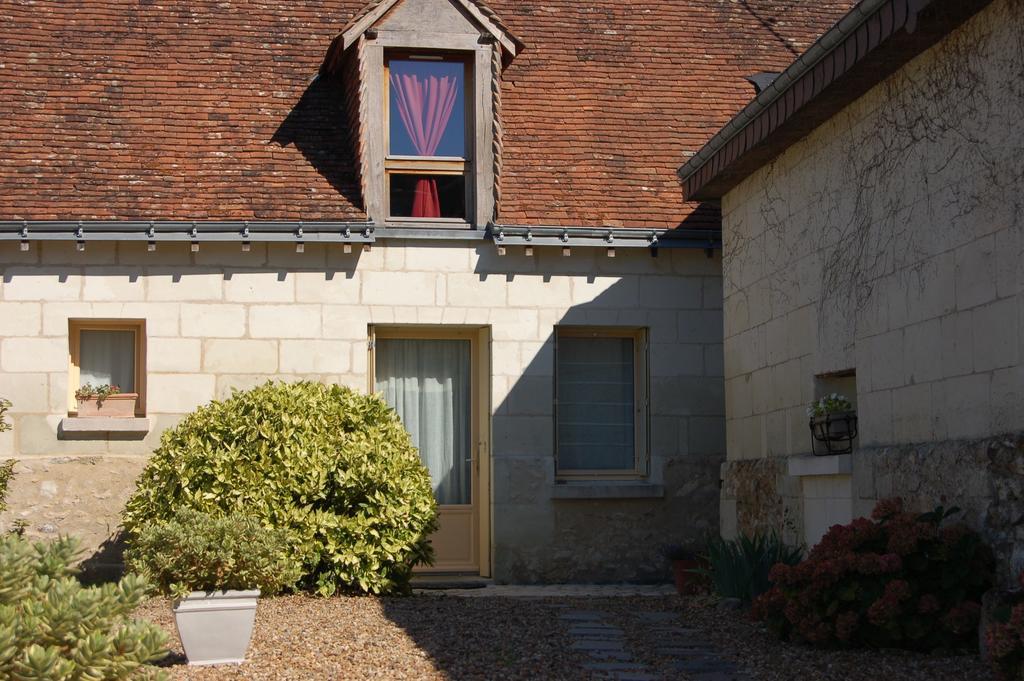La Grange Dimiere, Pres De Tours Bed & Breakfast Saint-Genouph Exterior foto
